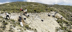 Trabajo de campo en el yacimiento Miravete.