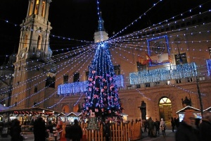 La plaza del Pilar acoge distintas actividades este domingo.