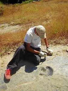 van desde la agricultura hasta la arqueología.