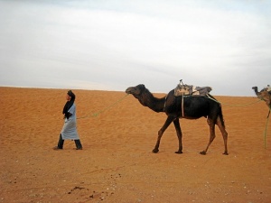 Fotografía del Sáhara Occidental.