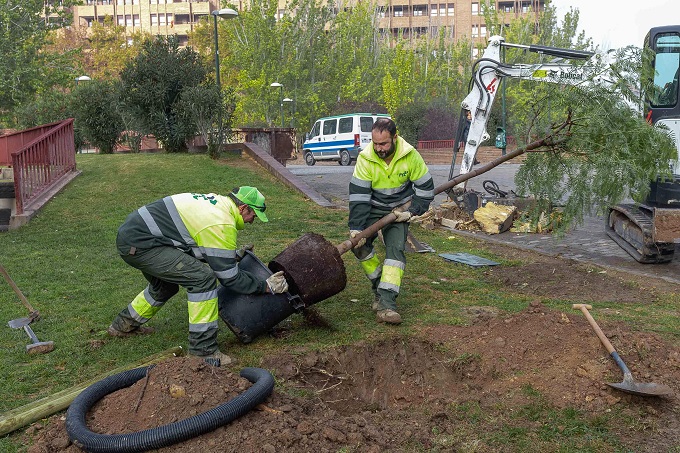 Plantación de nuevos árboles en parques de Zaragoza.