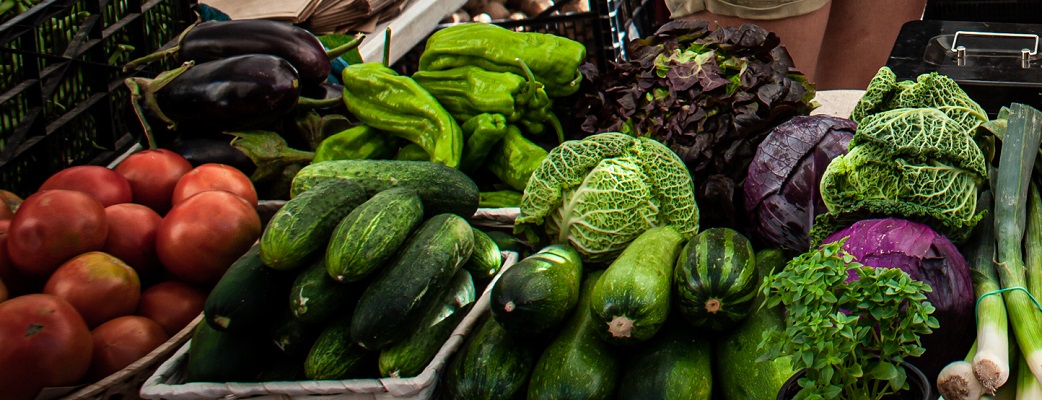 Zaragoza aborda la alimentación sostenible en el III Encuentro de la Red de Ciudades por la Agroecología.