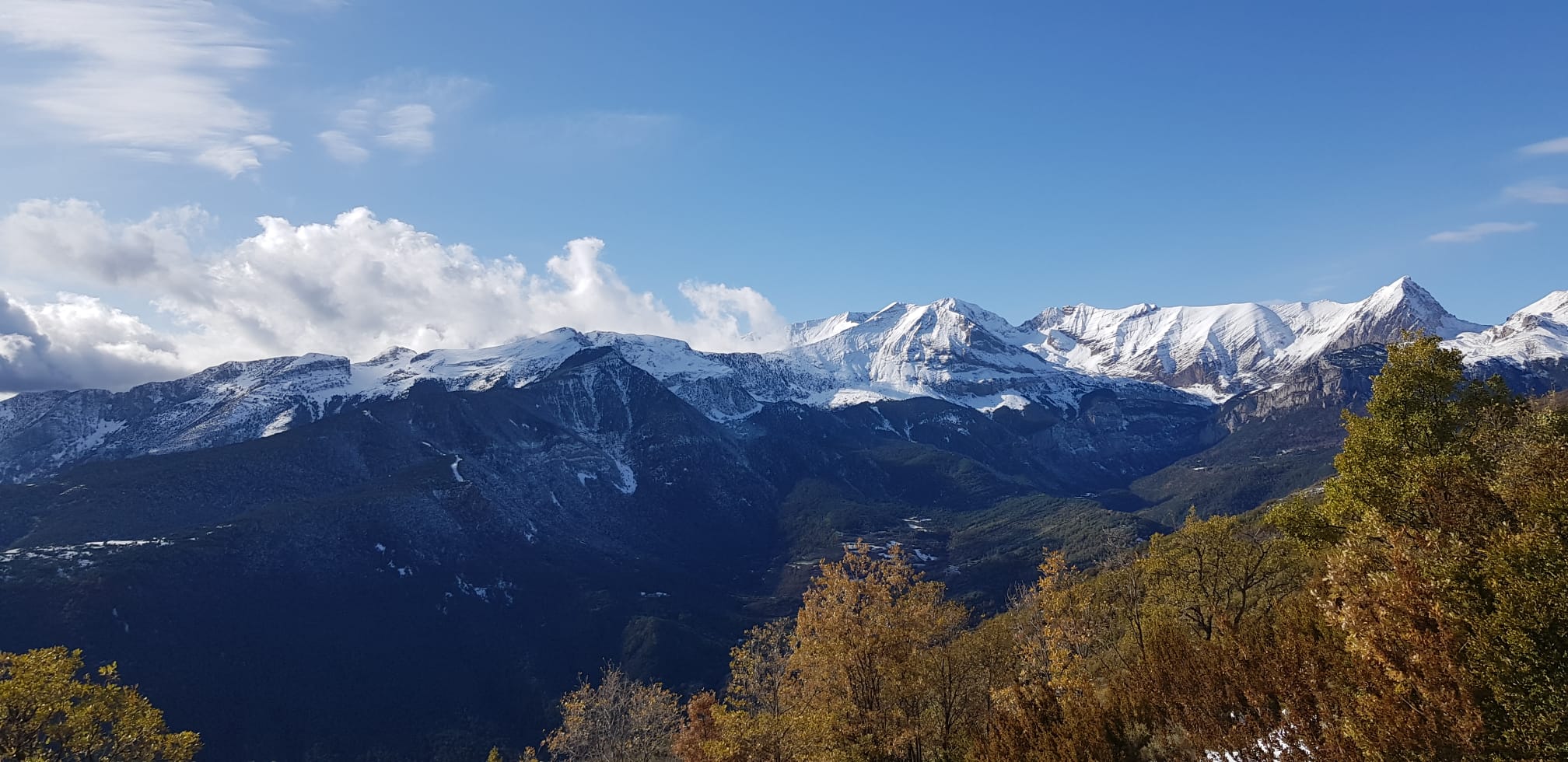 Aragón supera las 100.000 hectáreas forestales certificadas.