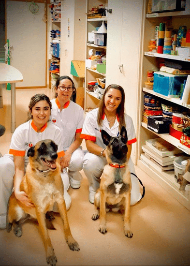 El Hospital San Juan de Dios realiza terapias con perros.