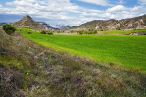 Alhama de Aragón, en el top 10 de los pueblos más buscados en 2019