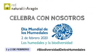 Propuestas para celebrar en familia el Día Mundial de los Humedales