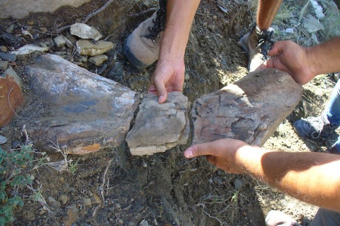 Inventarian 30 nuevos yacimientos de dinosaurios en la Sierra de Gúdar