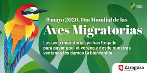 Zaragoza celebra el Día Mundial de las Aves Migratorias