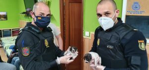 La Policía salva la vida a dos cachorros abandonados en Zaragoza