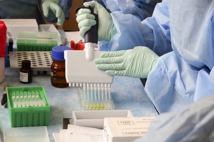 Aragón detecta 15 nuevos casos de coronavirus en el último día
