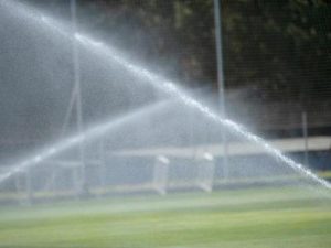 El Real Zaragoza retoma los entrenamientos en la Ciudad Deportiva