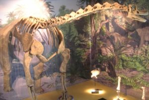 Paleontólogos descubren un nuevo ejemplar de dinosaurio turiasaurio