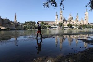 Zaragoza combate la mosca negra en los ríos Gállego y Ebro