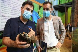 El Acuario de Zaragoza acogerá los reptiles y anfibios exóticos hallados en la vía pública