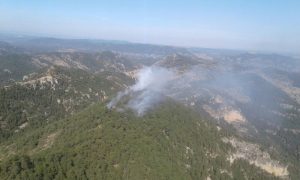 Controlado el incendio forestal en los Puertos de Beceite