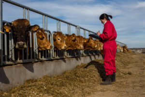 Aragoneses ganadores de los XI Premios de Excelencia a la Innovación para Mujeres Rurales