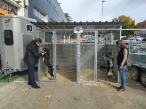 El Centro de Acogida de Animales de Teruel fomenta la adopción de mascotas