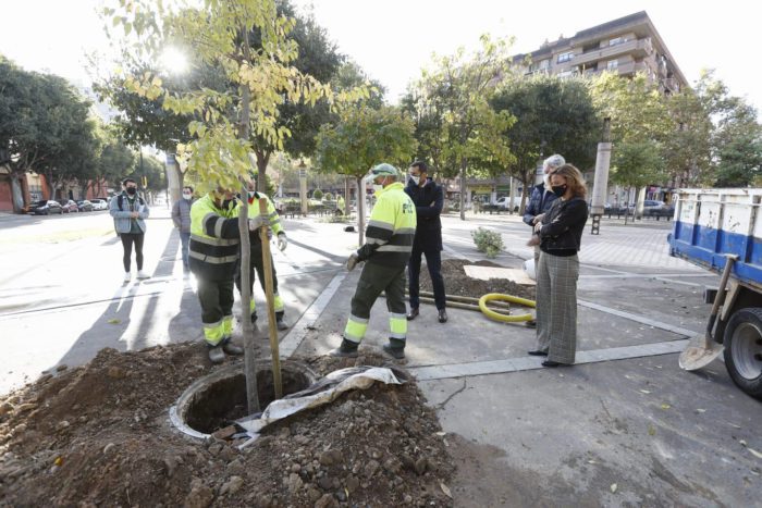 Zaragoza plantará hasta fin de año más de 1.300 nuevos árboles