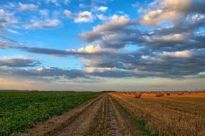 Aragón busca potenciar el modelo de agricultura familiar