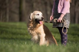 Zaragoza envía 2.000 cartas para recordar la obligación de registrar el ADN de los perros