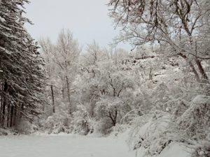 Tarazona activa medidas preventivas contra las bajas temperaturas y nevadas