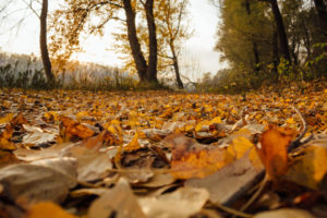 Las tendencias en calzado para el otoño