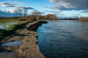 2022-01-28 Río Ebro