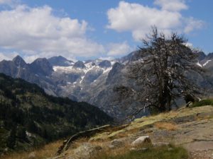 2022-01-31 Pirineo Aragonés