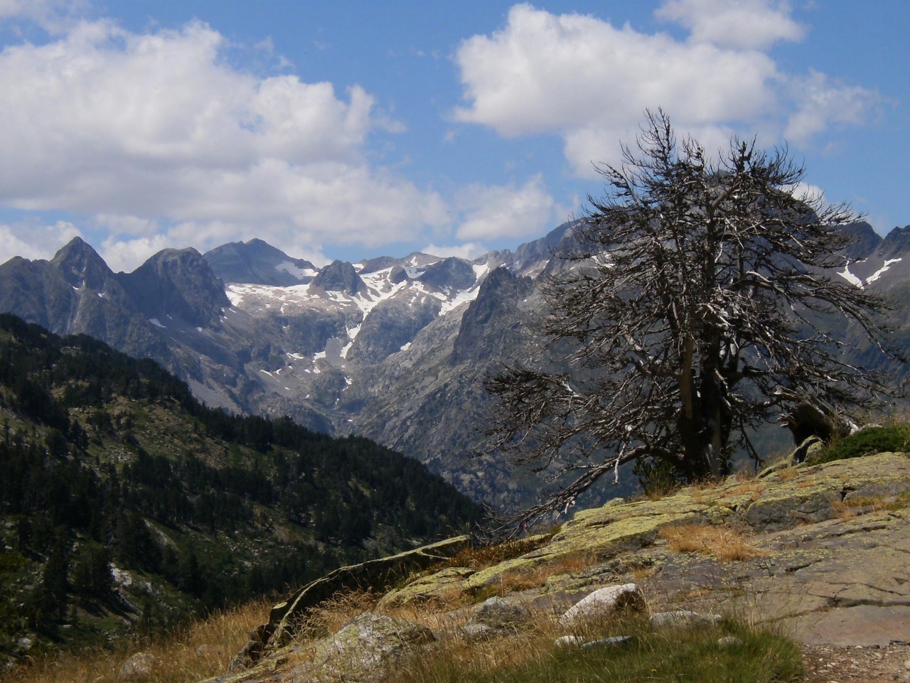 2022-01-31 Pirineo Aragonés