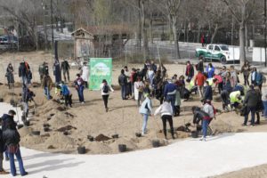 2022-02-26 Reforestación