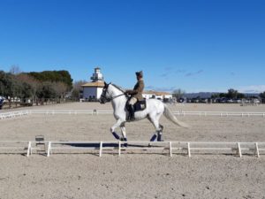 2022-03-23 Centro Militar de Cría Caballar