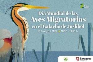 2022-05-10 Día Mundial de las Aves Migratorias