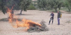 Quemas agrícolas y forestales