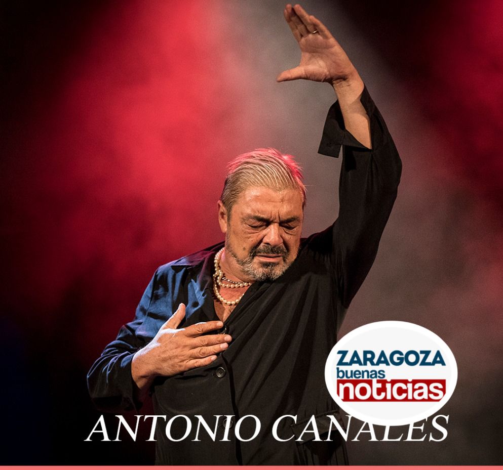 El Ciclo de baile Flamenco Ciudad de vuelve con bailaores Zaragoza Noticias