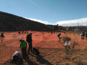 2023-01-12 Concurso Nacional de Caza de Trufa de Daroca