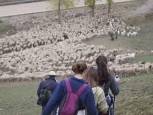 2023-01-12 pastores trashumantes - Unizar Veterinaria