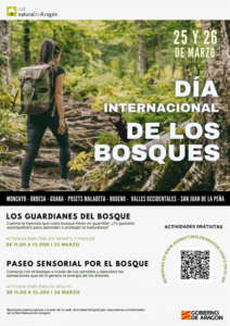 2023-03-17 Cartel del Día Internacional de los Bosques